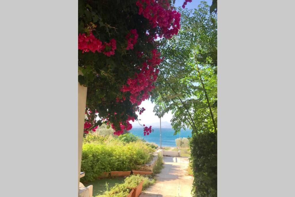 Studio On The Beach لوتراكي المظهر الخارجي الصورة
