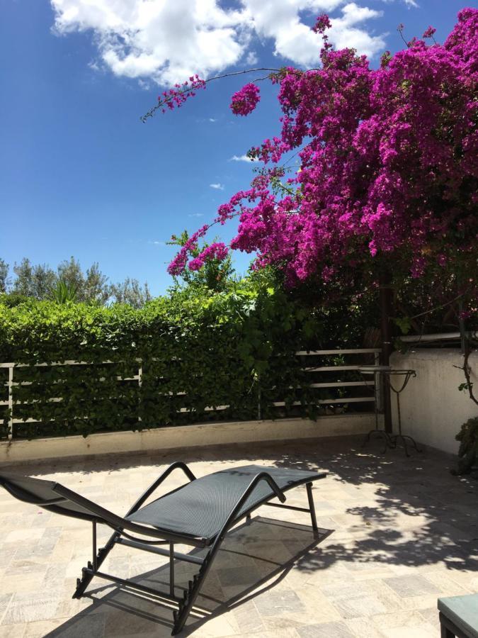 Studio On The Beach لوتراكي المظهر الخارجي الصورة